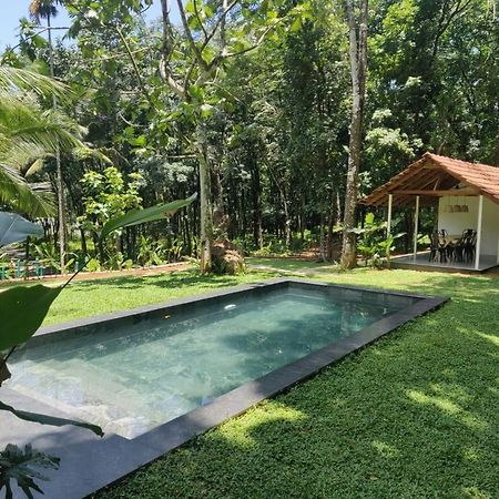 Pool Villa - The Humming Trees, Pala Lālam 外观 照片